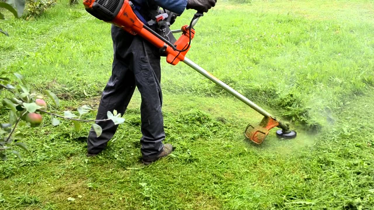 Ladrón y jardinero: entró a una casa en Funes, forzó una puerta y se llevó un exiguo botín de una bordeadora 